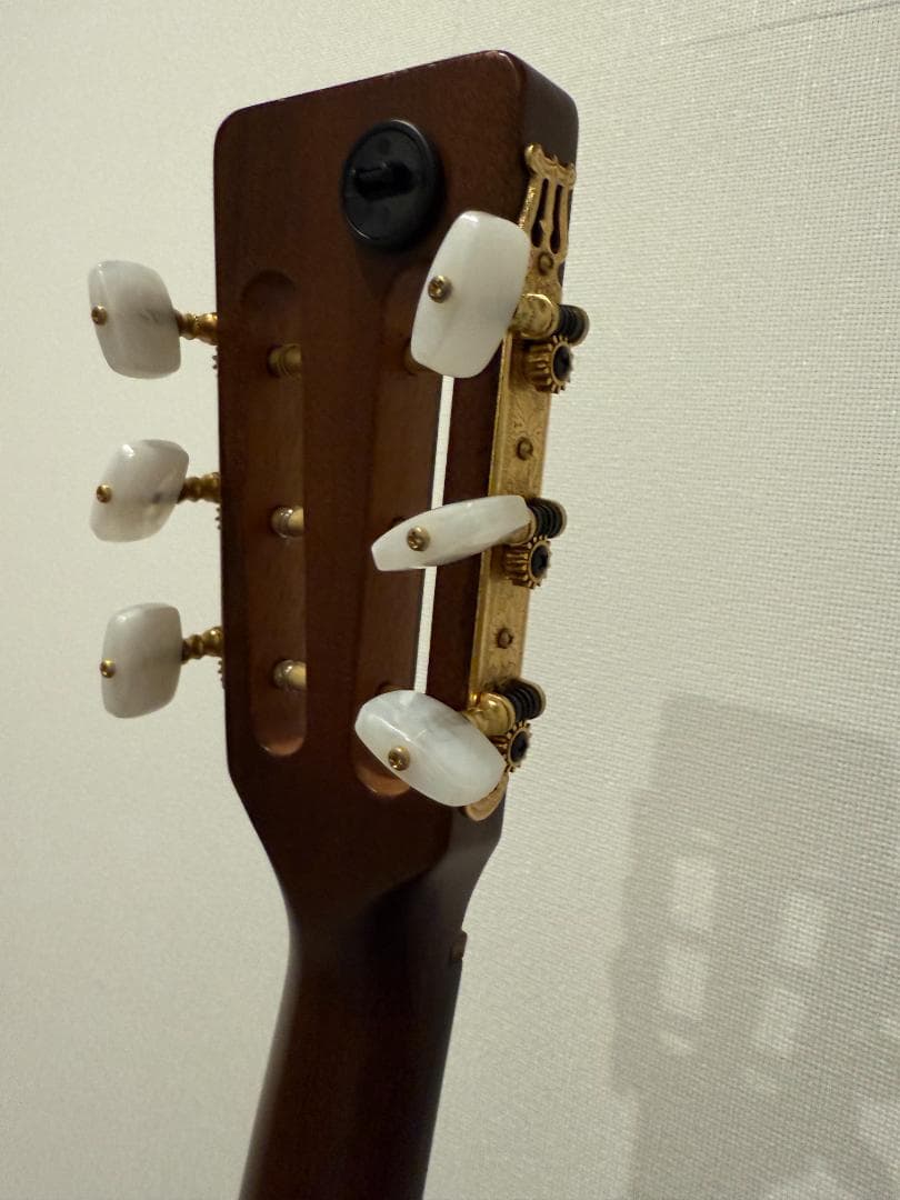 値上がり必至のハワイアンコア！Takamine PT-406 極上コンディション