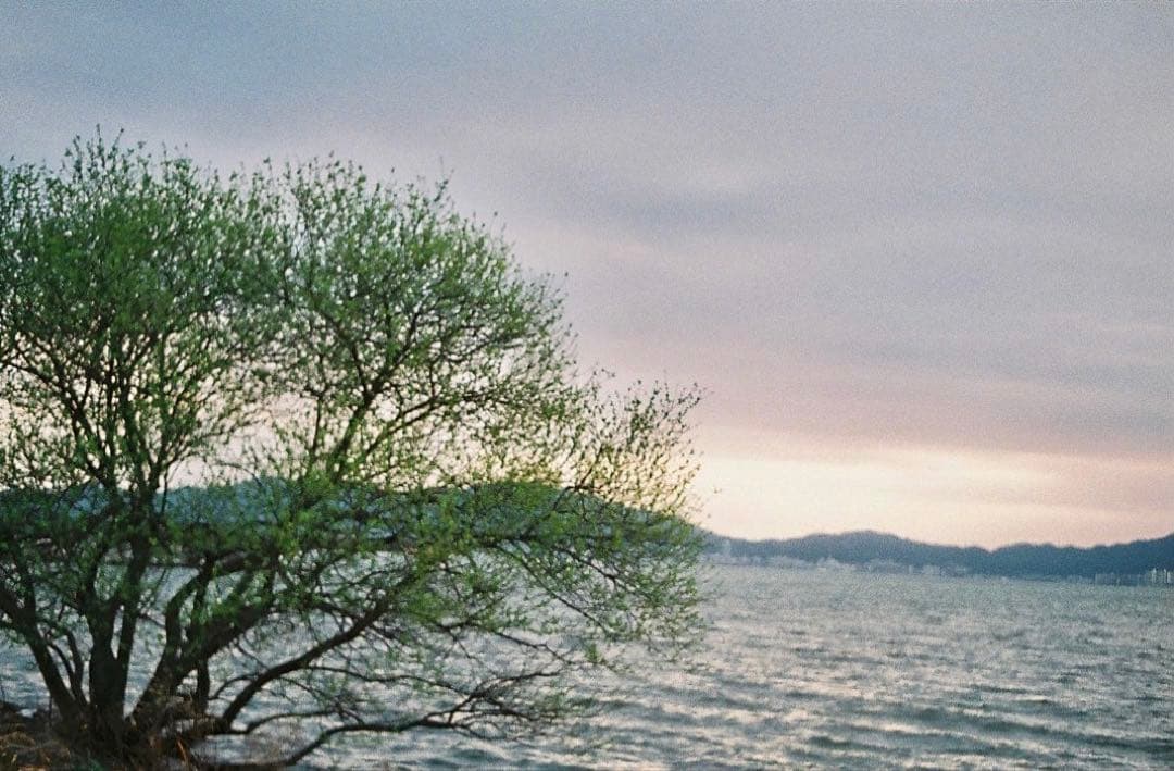 ★作例多数！★olympus pen ee3★完動・美品・赤ベロOK★入門に！