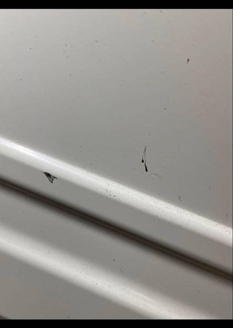 日立　ドラム式洗濯乾燥機　BD-NX120AE4L 2017年製　12kg