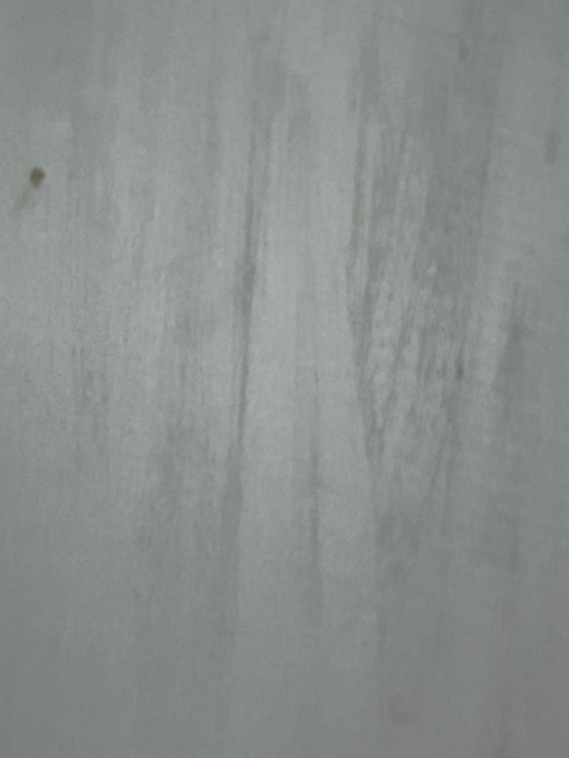 スノーボード　板　キスマーク　ステップイン　mosso