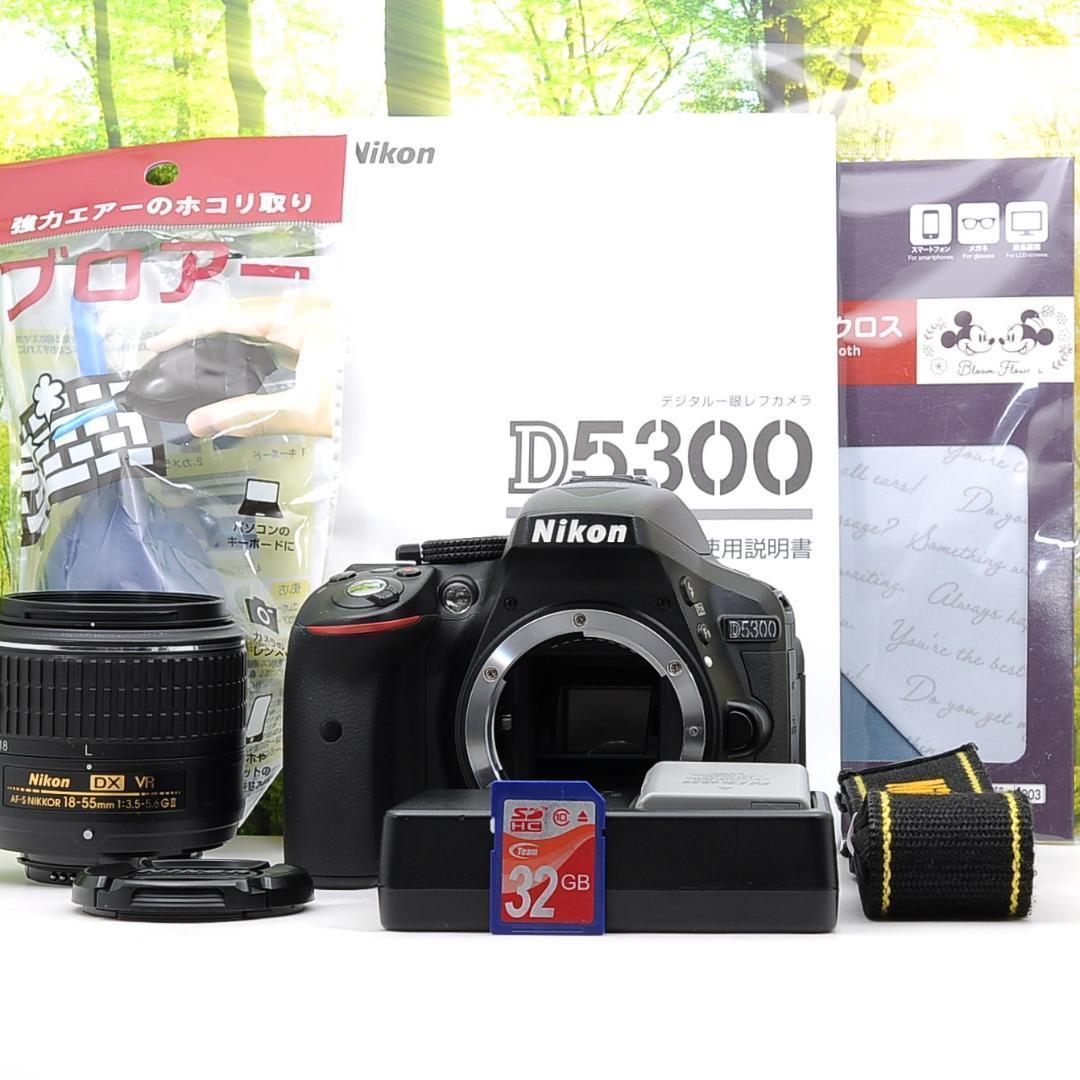 ショット数3603枚！WiFi機能付☆Nikon D5300☆初めての一眼レフに
