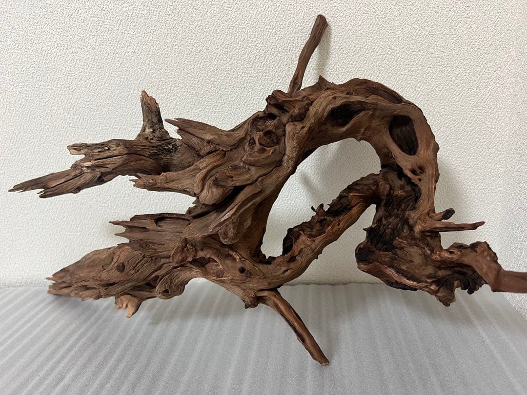 HX-076流木　ホーンウッド　マシンガンウッド　アクアリウム　ブランチウッド