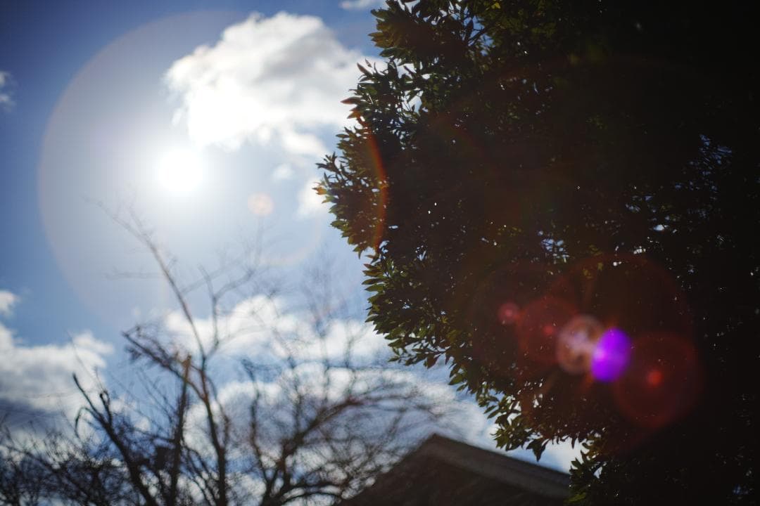 整&テスト Pentax Super Takumar 50mm F1.4 516