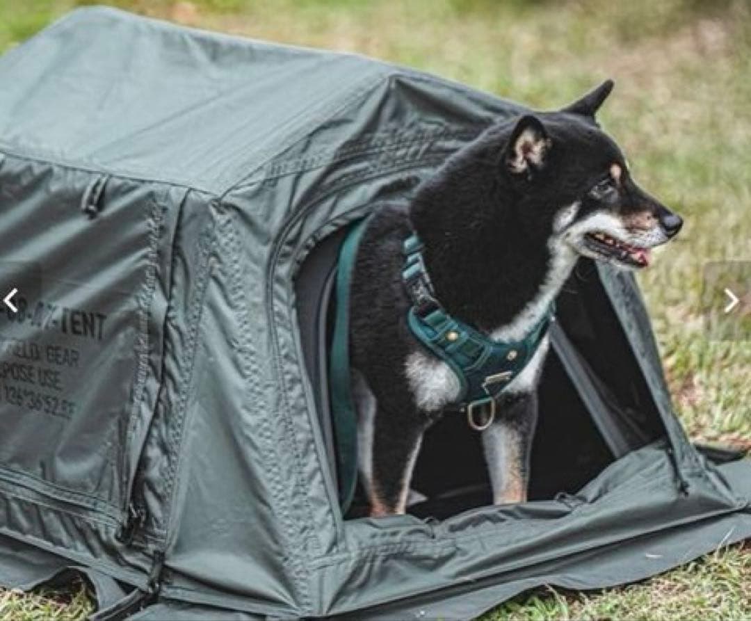 KZM OUTDOOR カズミアウトドア ペットハウス ペットテント