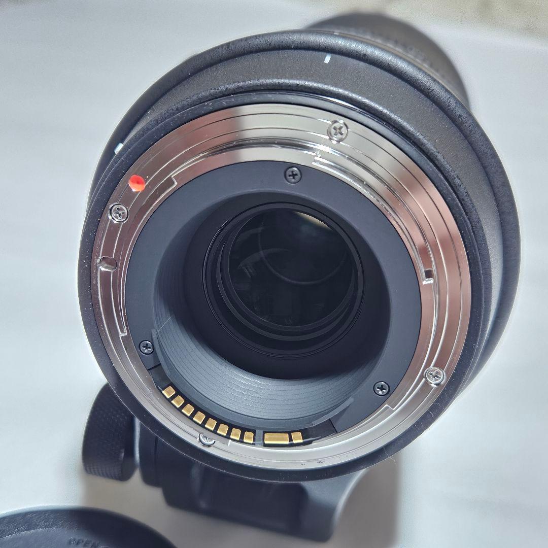 シグマ150-600mm Contemporary キヤノンEFマウント