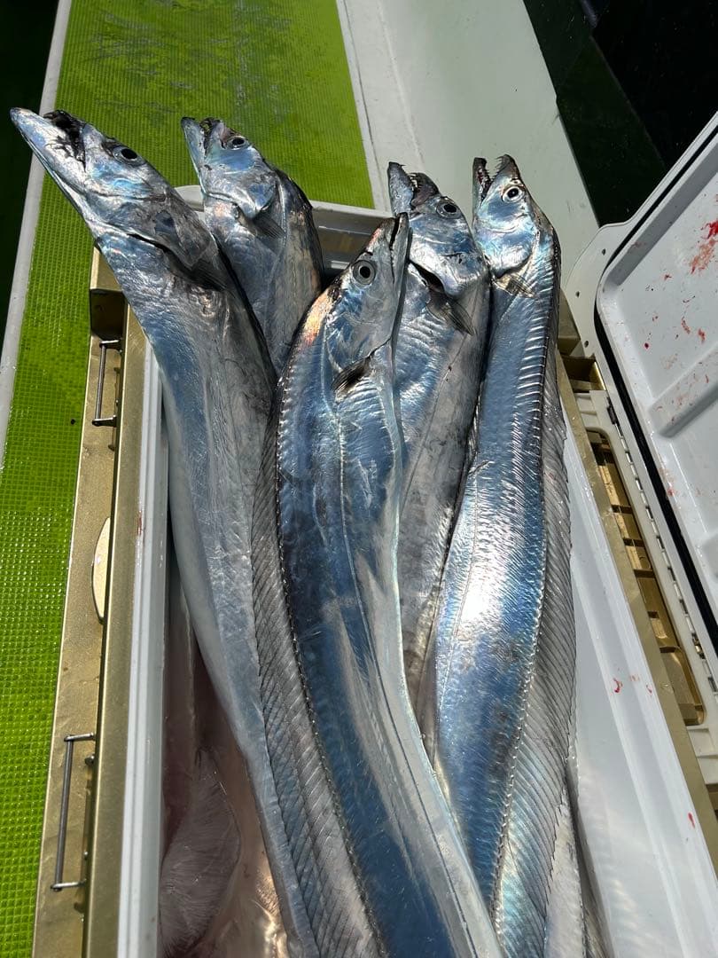 【お値下げしました】ダイワ 極鋭 タチウオテンヤ SP82-182 AGS