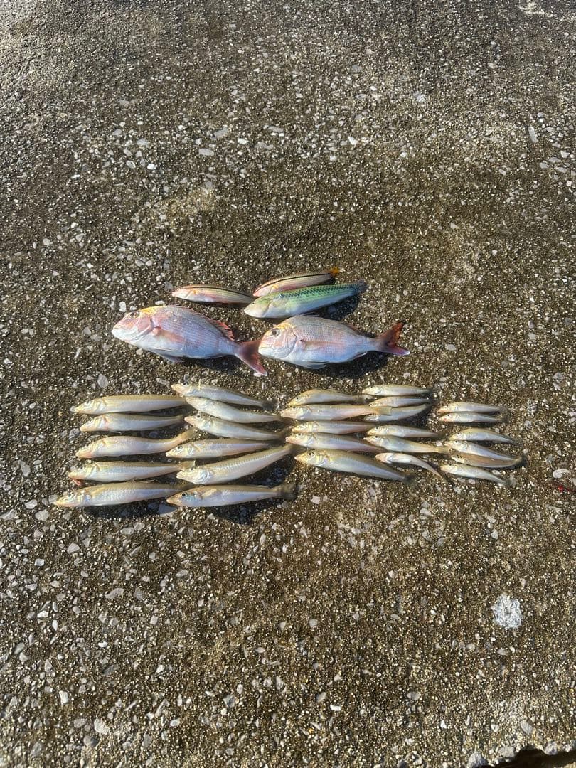 iPhone 14 ブラック 本体 画面ひび割れ