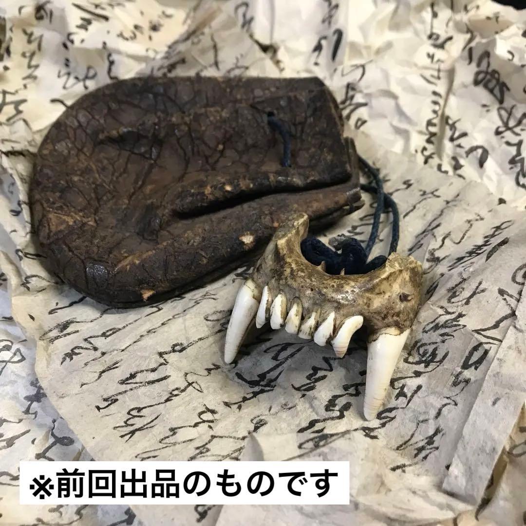 獣牙　根付　呪物　ニホンオオカミ　熊　煙管　煙草