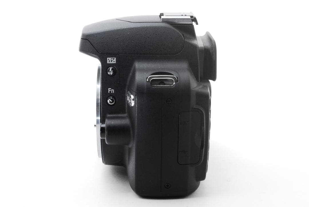 Nikon D60 美品 標準レンズ バック・アルバム付