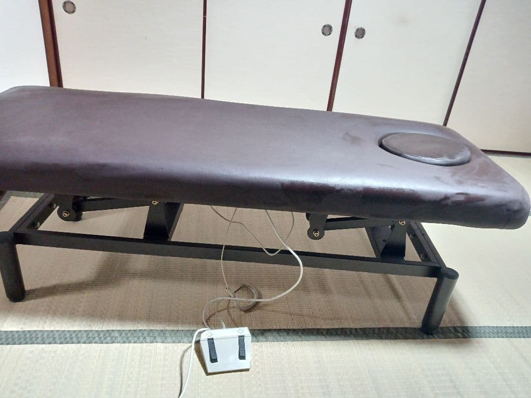 ネチュラ　Electric flat memory FV223 電動昇降ベッド