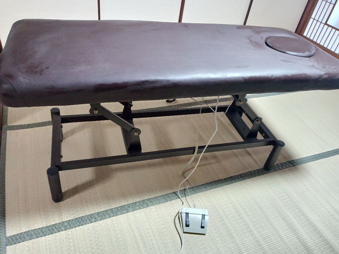 ネチュラ　Electric flat memory FV223 電動昇降ベッド