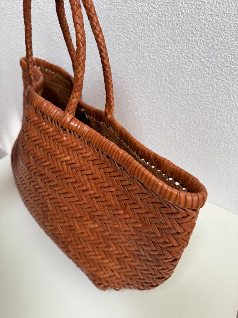 ドラゴン フュージョン Dragon Diffusion メッシュレザーバッグ