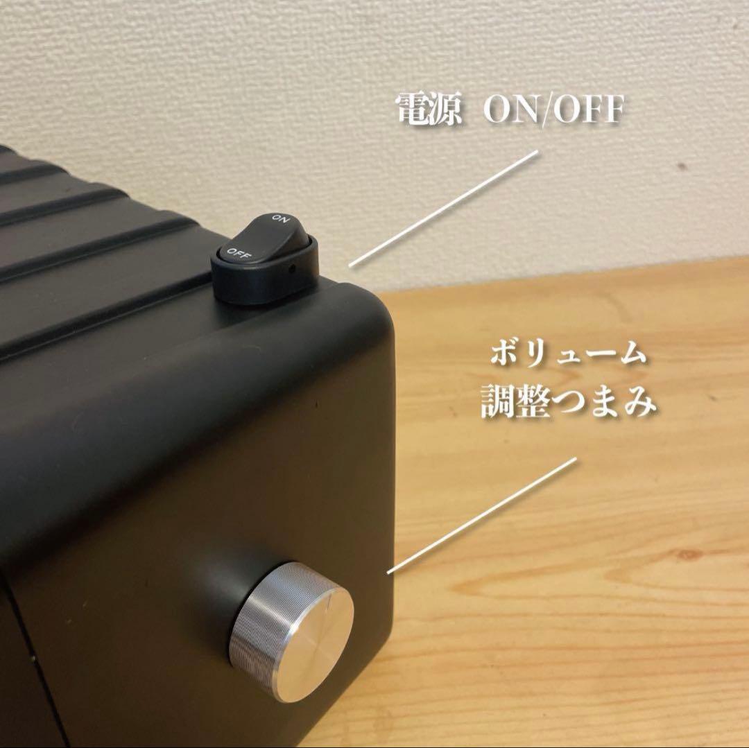 BOSE 101mm Bluetoothスピーカー 2169