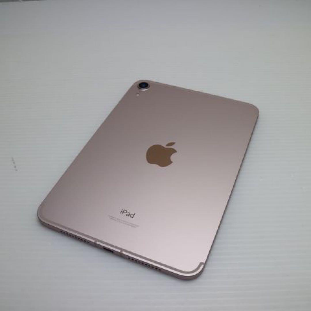 極美品 iPad mini セルラー5G対応 256GB 純正ペンセット100%