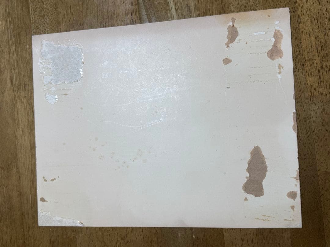 ジャングル大帝レオ　サンヨー　三洋