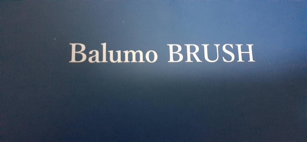 新品未使用品 ブラシ型美容育毛機器 Balumo BRUSH（バルモブラッシュ）