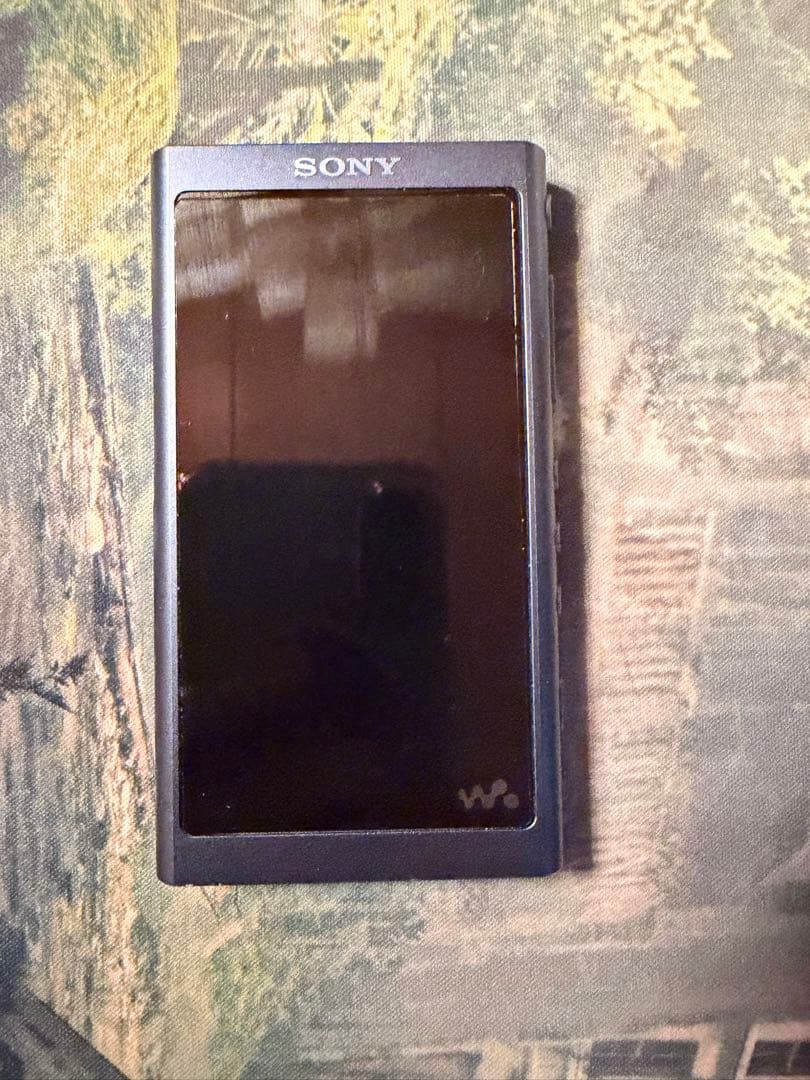 箱付きSONY ウォークマン NW-A55 16GB
