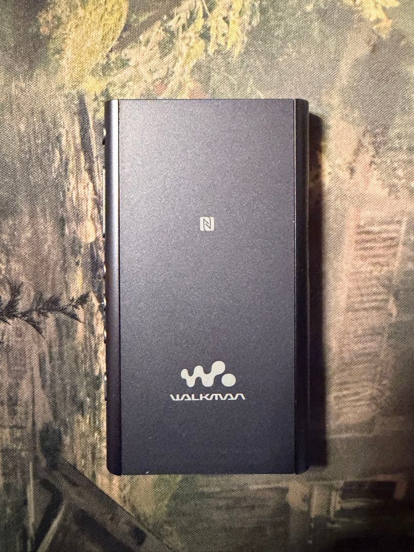 箱付きSONY ウォークマン NW-A55 16GB