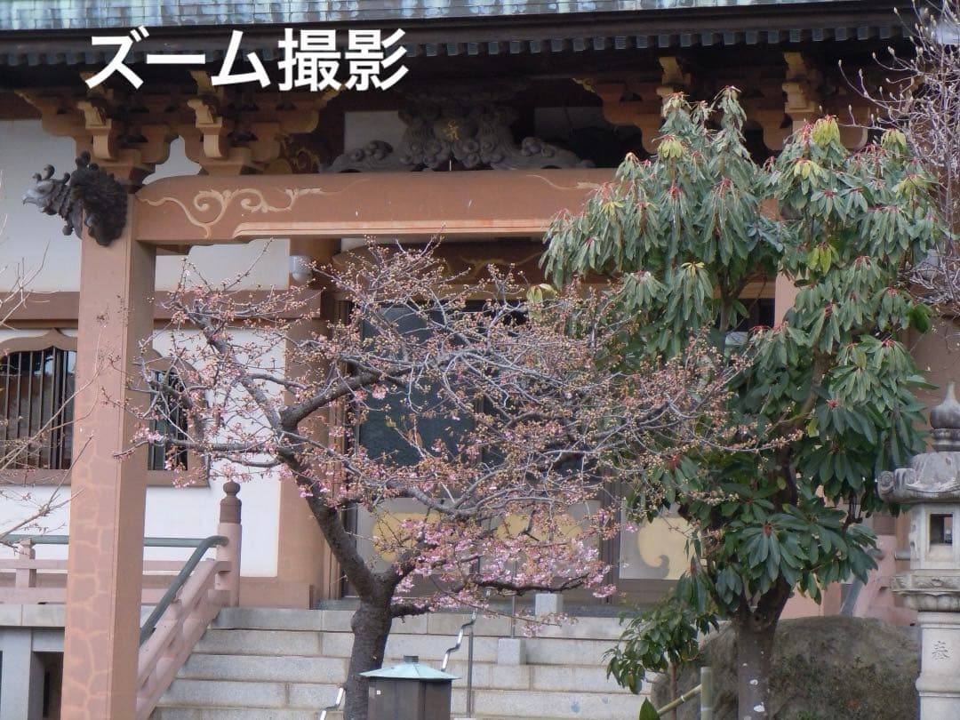 実写美⭕️訳あり【動作確認済】Nikon COOLPIX S8000 ブラック