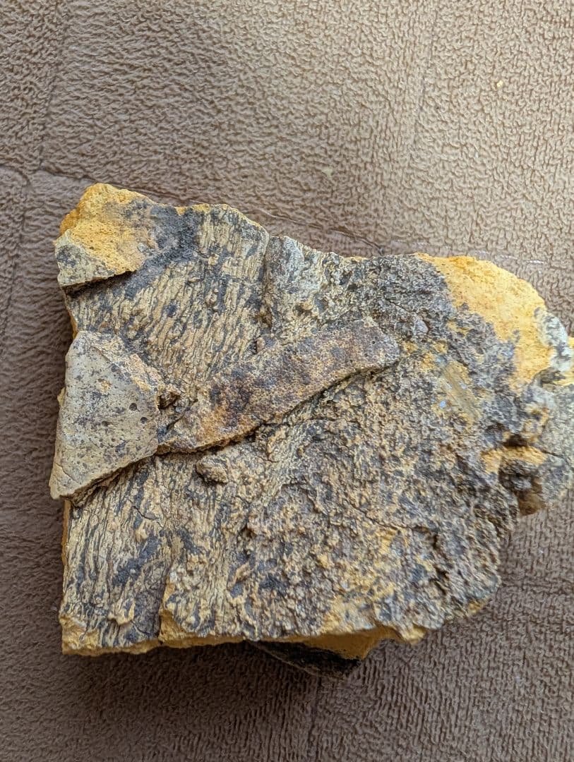 黄色と灰色の不規則な石