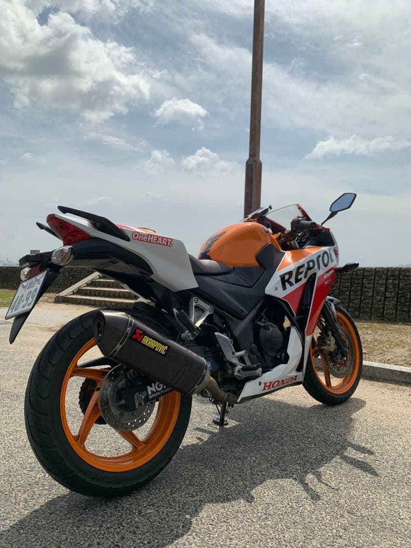 アクラポビッチ スリップオンマフラー