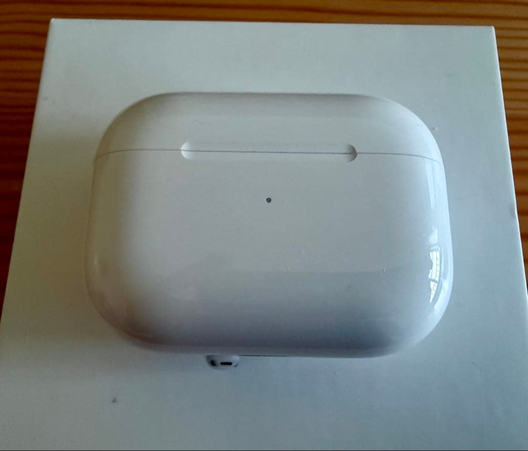 Apple AirPods Pro 2 アップル プロ カーボンケース付