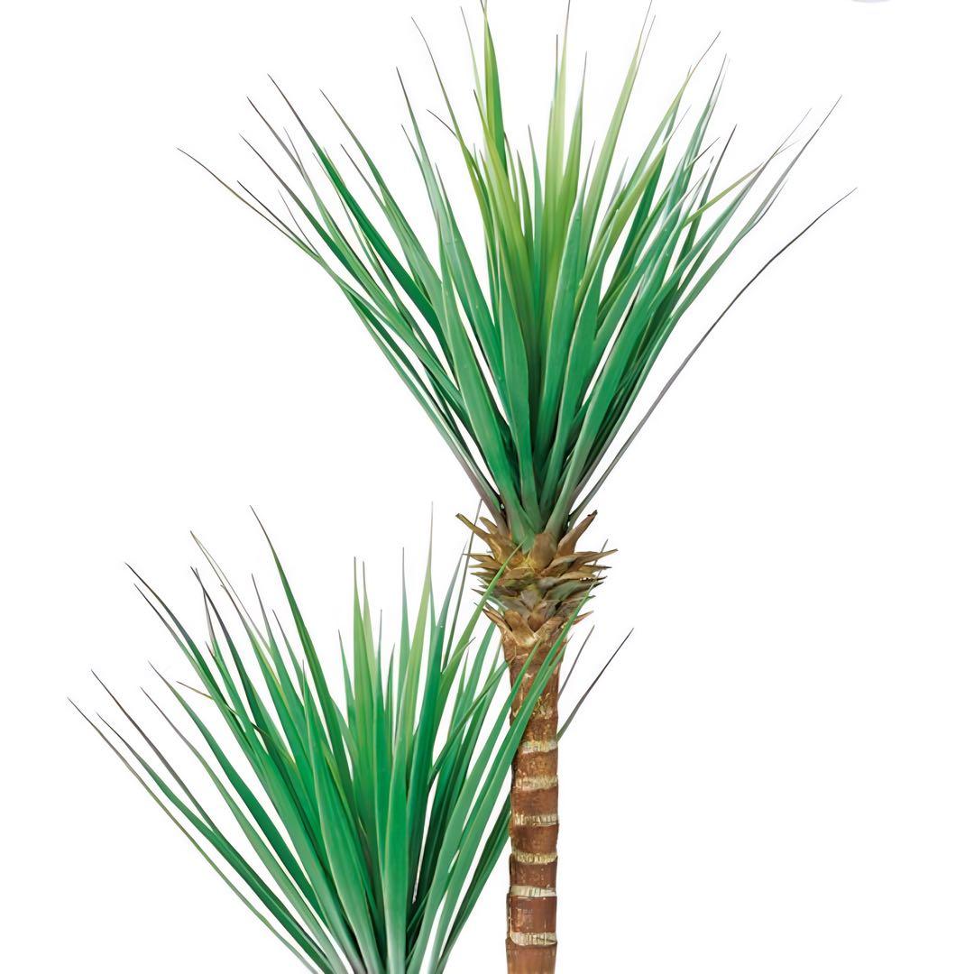 光触媒　人工観葉植物　ウォールグリーン　フェイクグリーン　ドラセナユッカ130