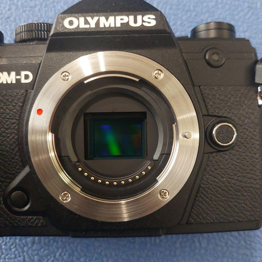 (ショット数2366枚 極上)オリンパス OM-D E-M5 Mark III