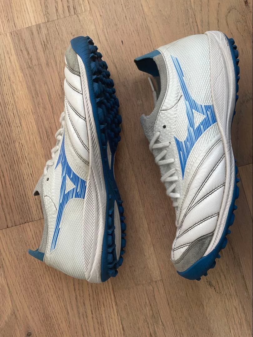 モレリアネオサラβ