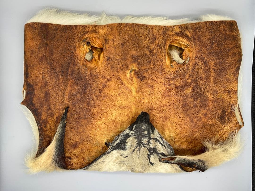 【希少レア!】ポーラベア マスク ヘアマテリアル フライフィッシング