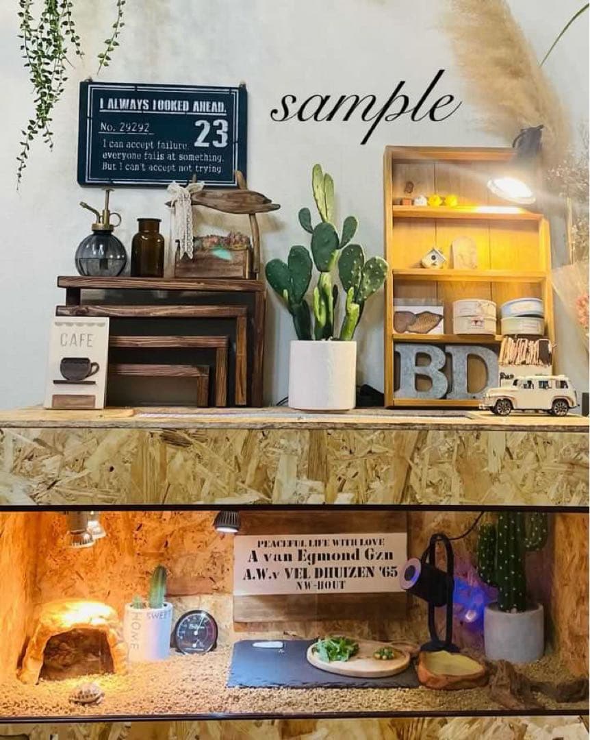 爬虫類ケージ　木製ケージ　フトアゴ　ハリネズミ プロフ必読　フルオプ　送料込み