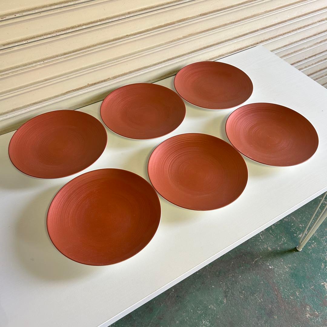 CE65 ビレロイ&ボッホ 6枚 食器 洋食器 ドイツ製 レッド コッパーグロウ