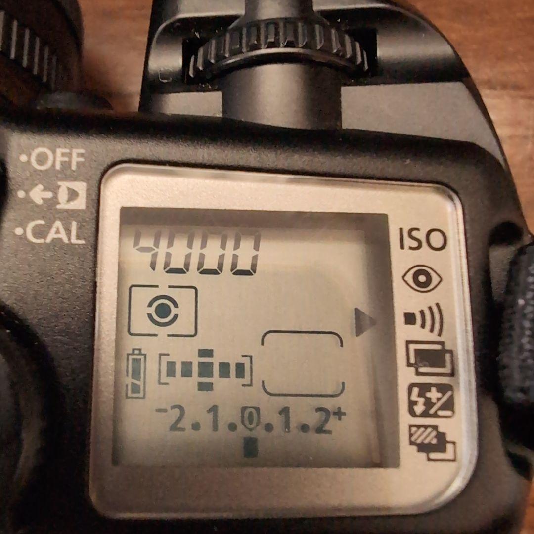 最終価格　Canon EOS 7 一眼レフカメラ 視線入力