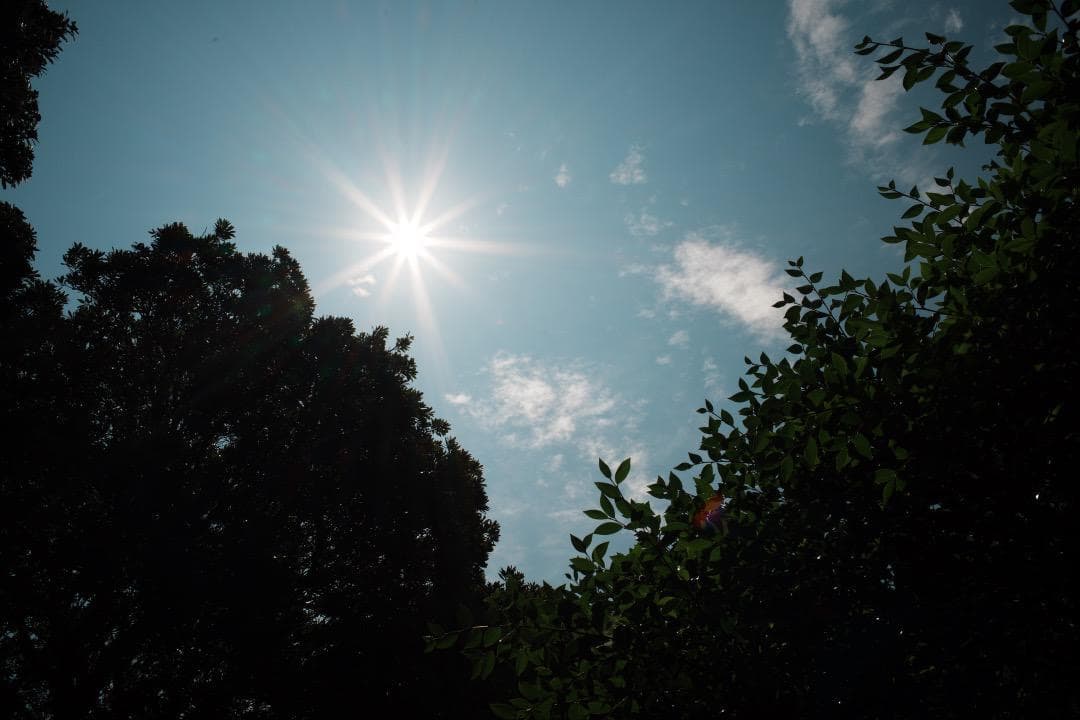 【整備＆テスト済】SMC PENTAX-M 28mm F2.8 単焦点 827