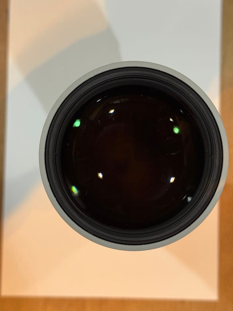 ニコン Nikon AF-S NIKKOR 300mm F4D ED