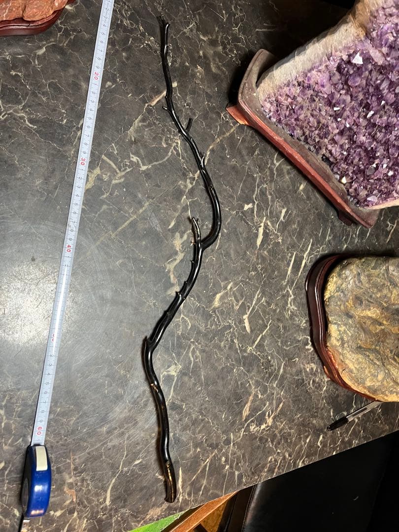 黒松珊瑚、海松、黒海松、深海珊瑚、黒珊瑚、