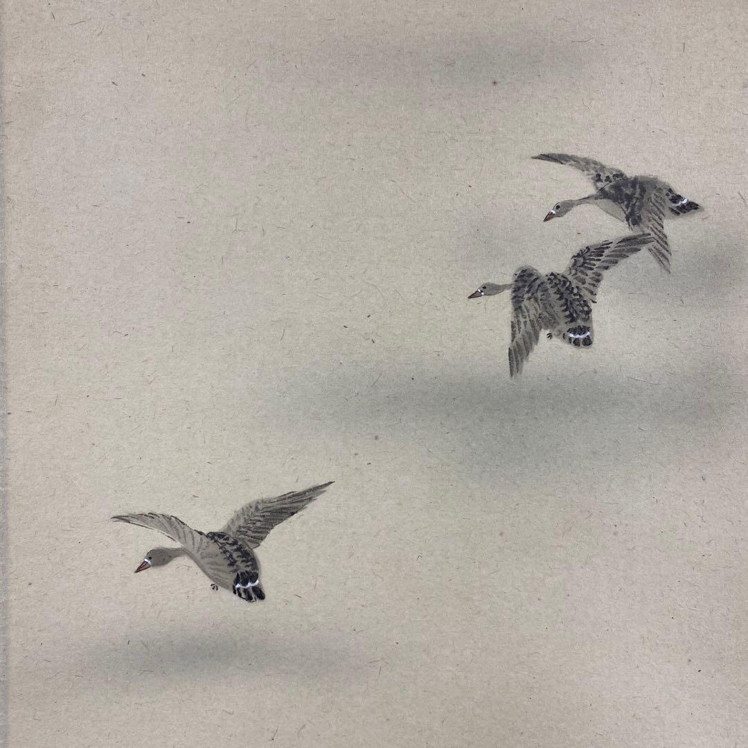 美品 掛け軸 宝林寺 福本積応作 雁ノ図「清風万里」共箱 禅語 茶掛け