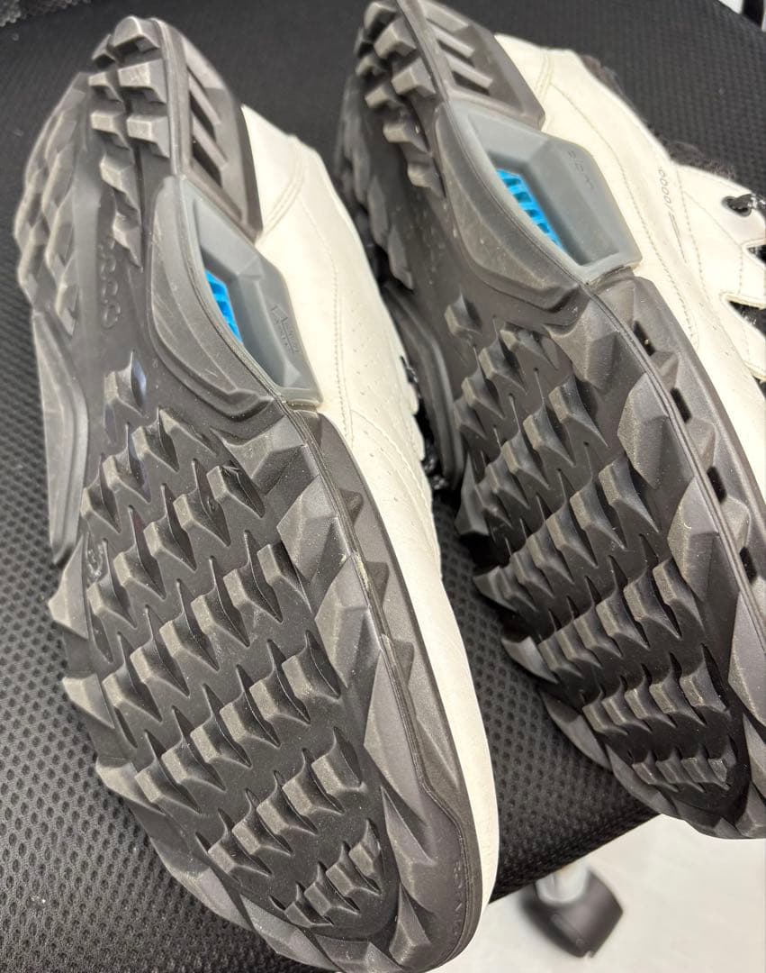 エコーBIOM C4 ゴルフシューズ