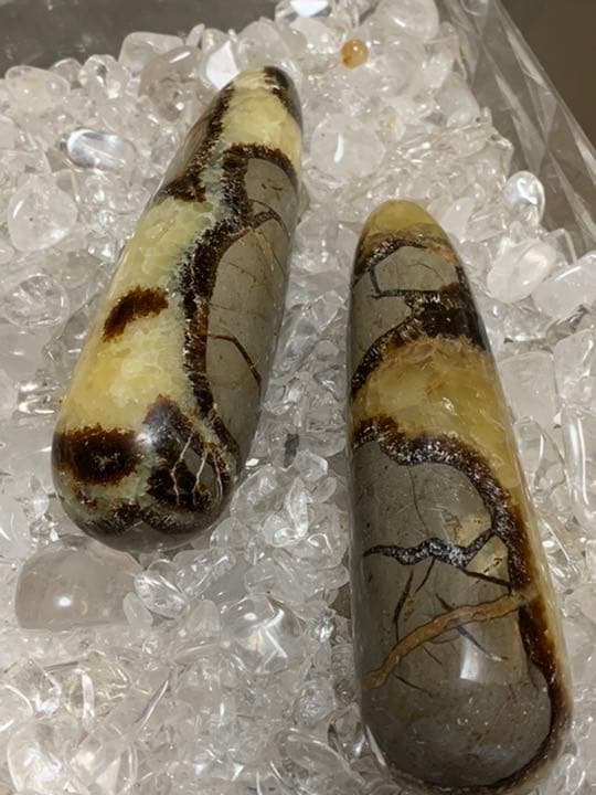 マダガスカル産　セプタリアン