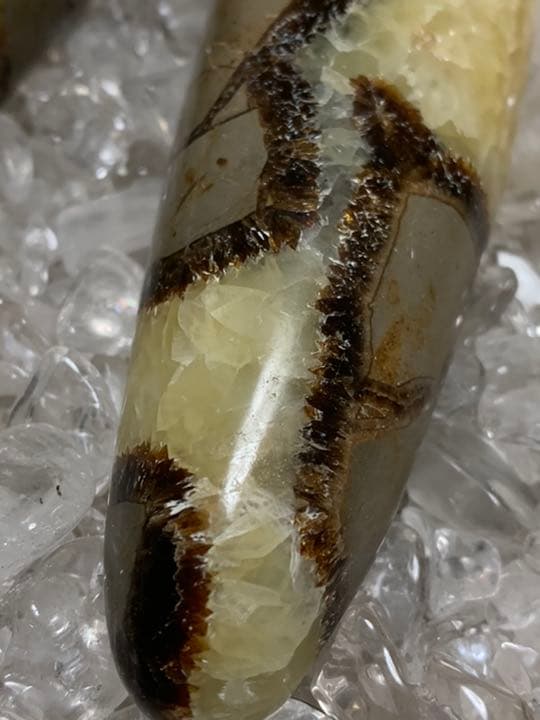 マダガスカル産　セプタリアン