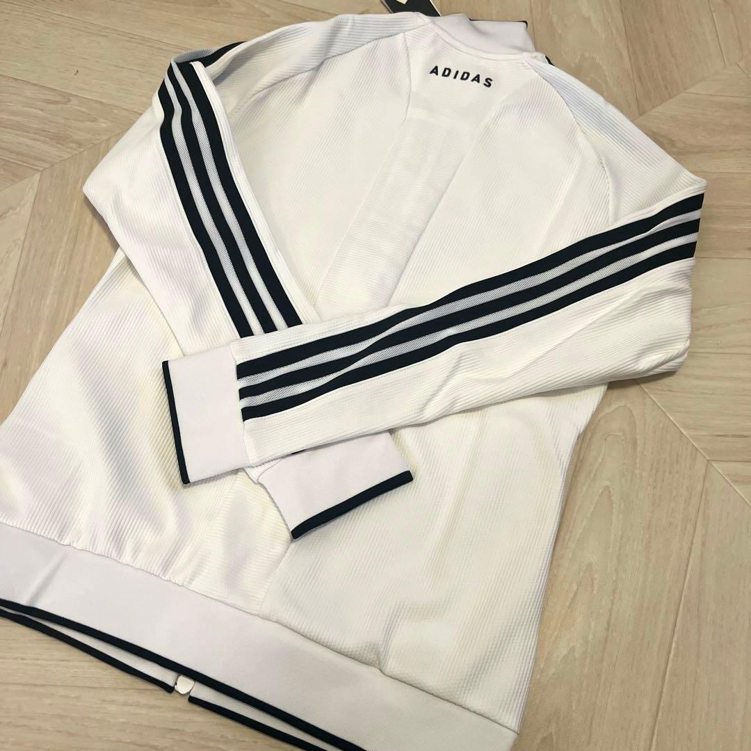 アディダスゴルフ　セットアップ　L