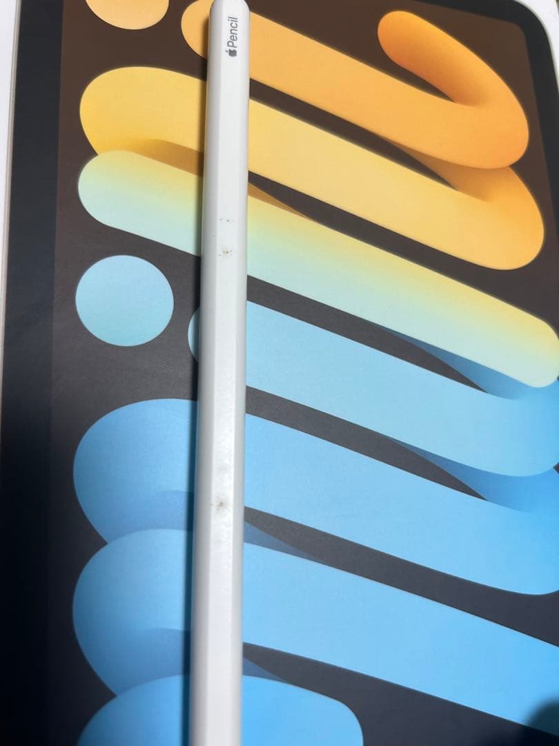 iPad mini(64GB) 第6世代 Apple Pencil付属