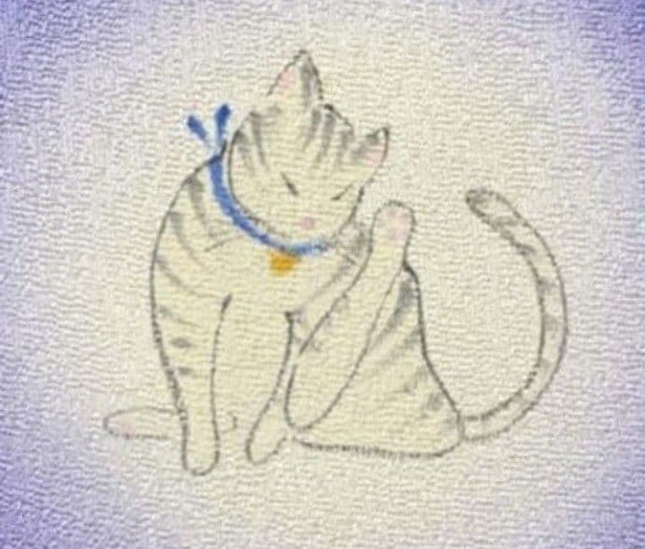 正絹　袷　猫模様　付下げ