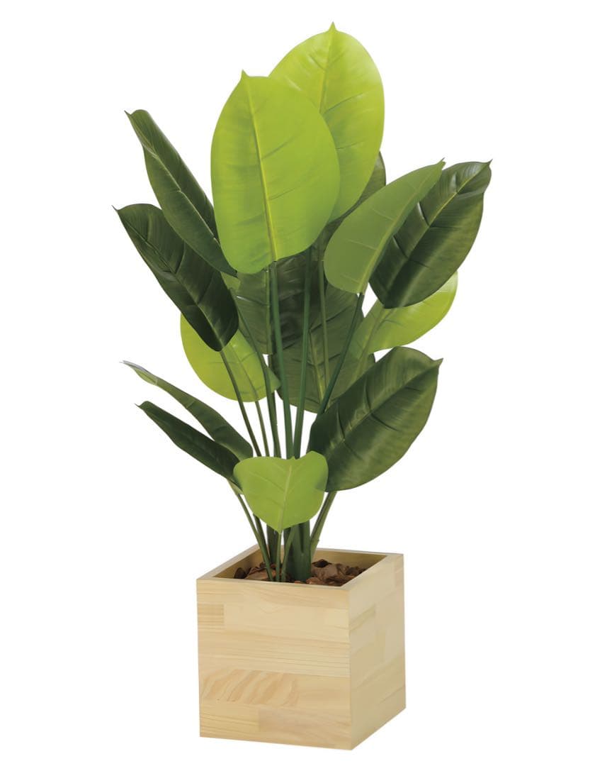 光触媒　人工観葉植物　ウォールグリーン　ウッドボックススキンダプサス85