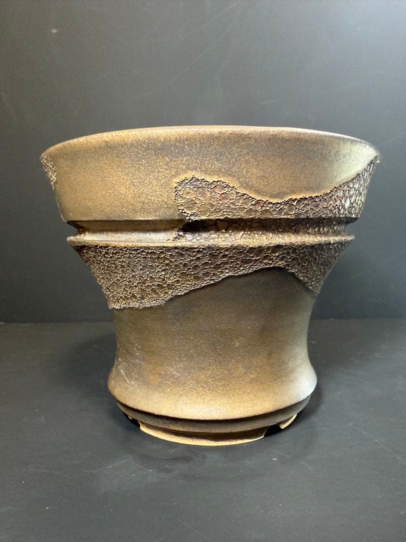 Wild Heaven 高級 陶器鉢 作家鉢 アガベ 塊根植物 観葉植物 A