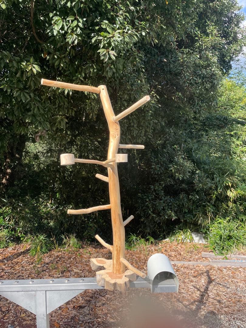 国産ヒノキ　鳥用止まり木　中型インコ用　スタンド　約100センチ