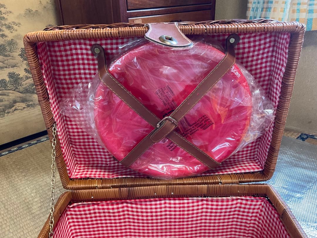 SONY・ハンディカム・スタミナランチバスケット【懸賞品、新品、未使用品】。