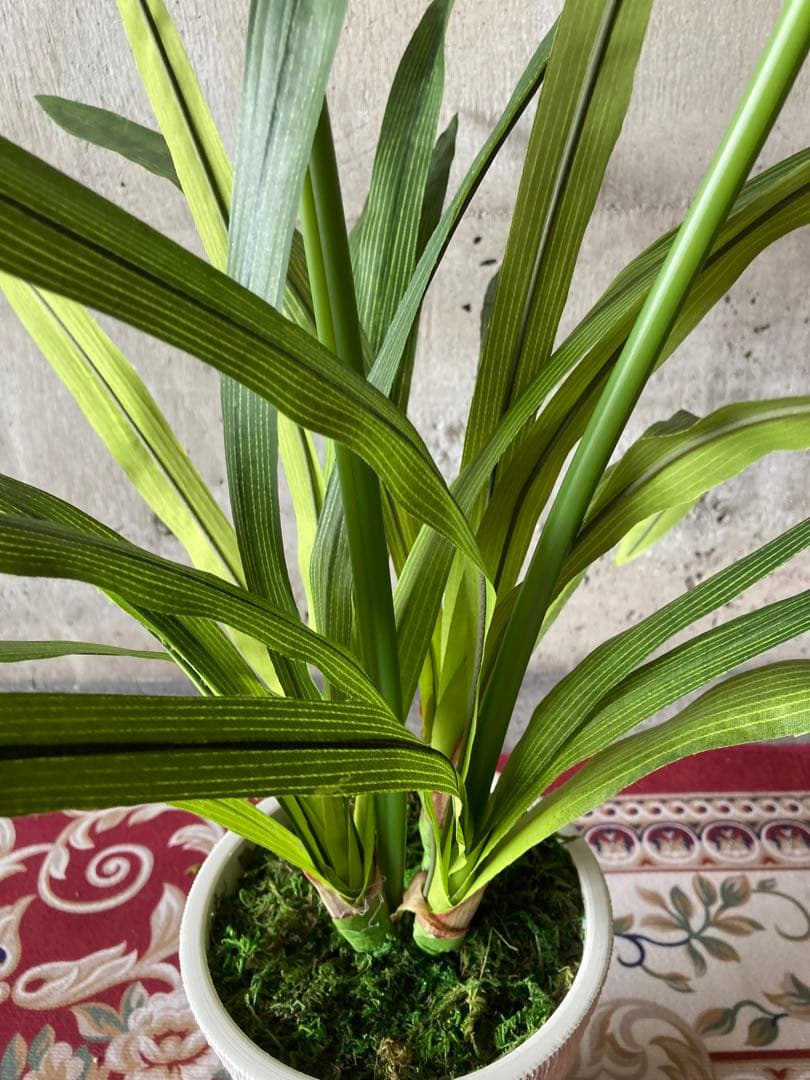 光触媒　人工観葉植物　ウォールグリーン　フェイクグリーン　ドラセナユッカ花付き