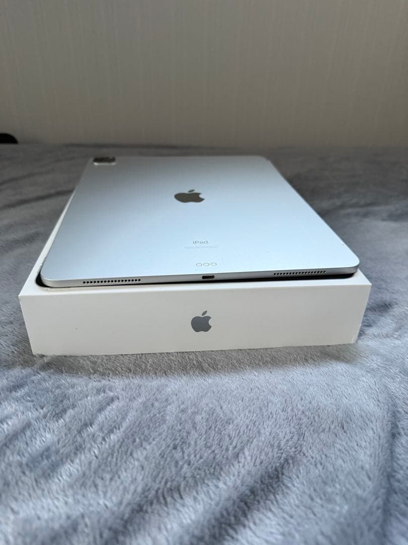 Apple iPad Pro 本体