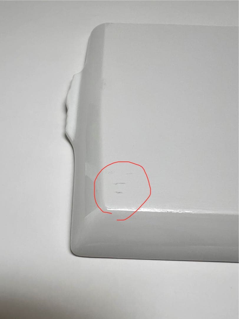 RICHARD GINORI ×ミナペルホネン　 トレイプレート　※限定品※